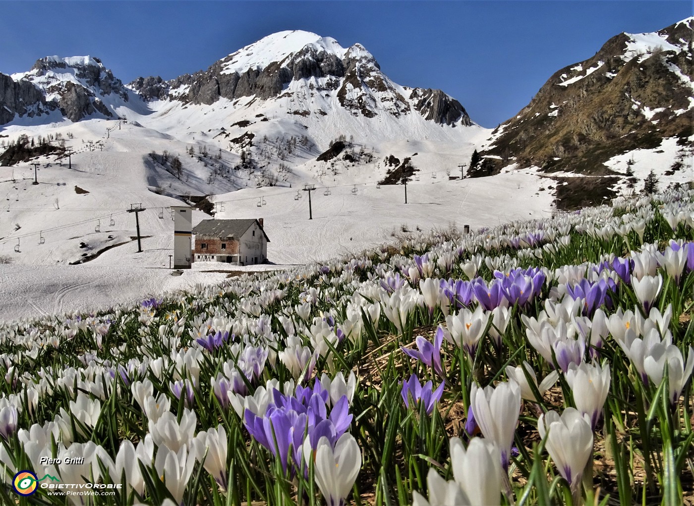 02 Dalla Baita del Camoscio fiorita di Crocus Vernus (Zafferano maggiore) salgo al Passo di San Simone carico di neve .JPG